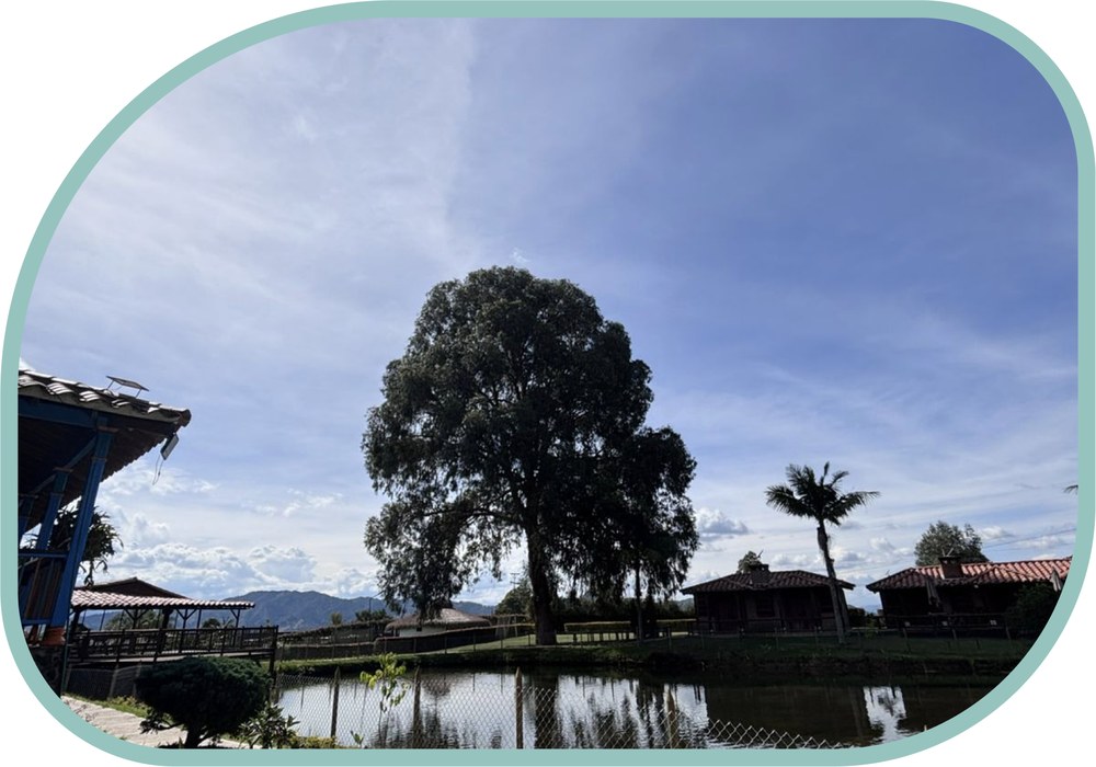 Lago y zona campestre del campus de Terra Vita